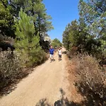 Beblungomareolbia Olbia