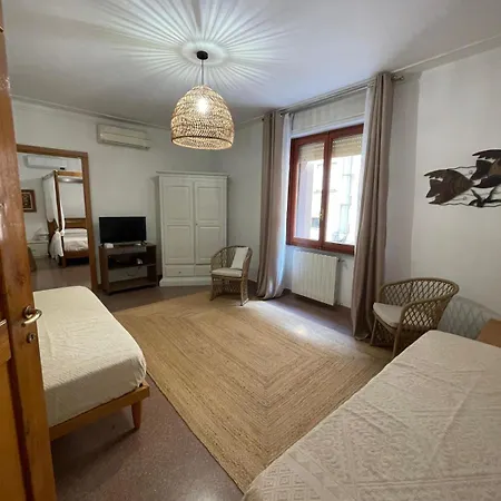 Beblungomareolbia オルビア