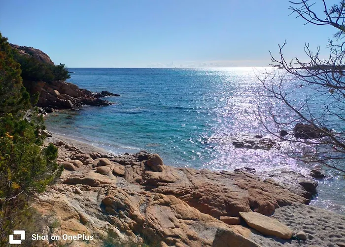 Beblungomareolbia 招待所 3*