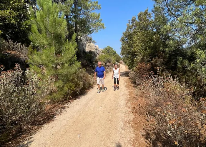 Beblungomareolbia 奧爾比亞