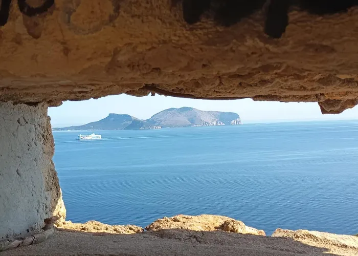 Beblungomareolbia 招待所 奧爾比亞