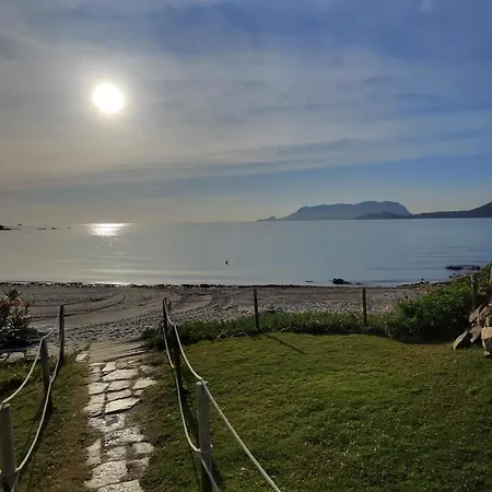 Beblungomareolbia Гостевой дом Ольбия