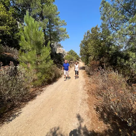 Beblungomareolbia Olbia