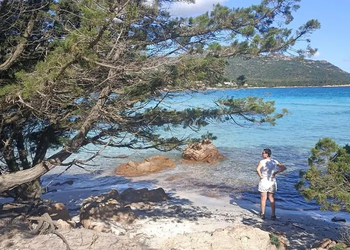 بيت ضيافة Beblungomareolbia 3*