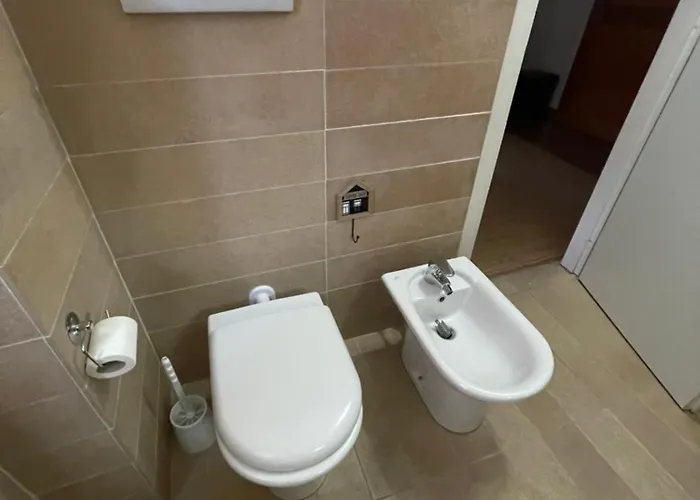 Beblungomareolbia أولبيا