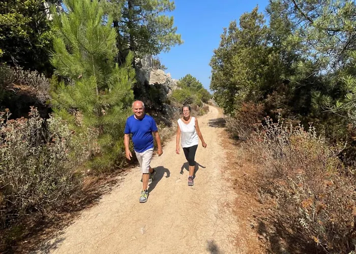 Beblungomareolbia بيت ضيافة أولبيا