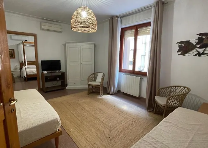 Beblungomareolbia أولبيا